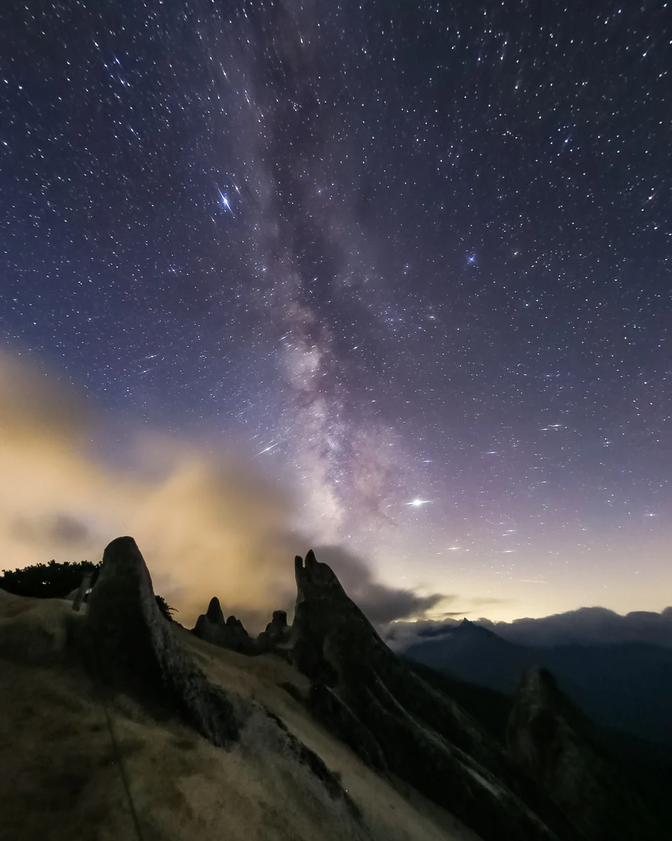 投稿写真：夢見るイルカ