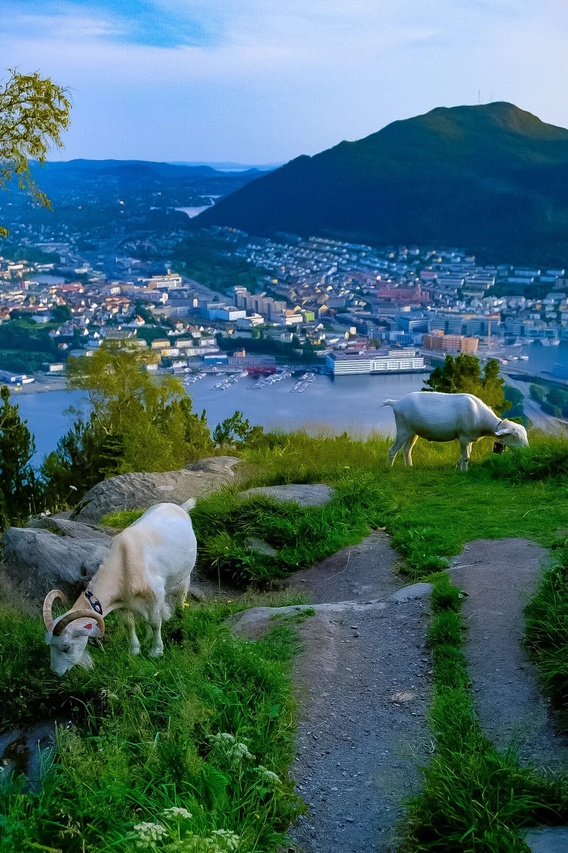 投稿写真：ノルウェー／ベルゲン市街