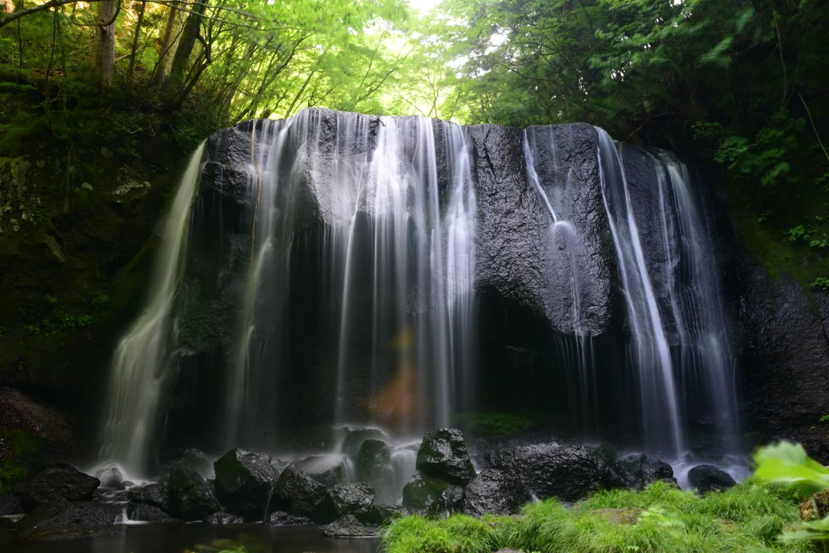 投稿写真：踊り子