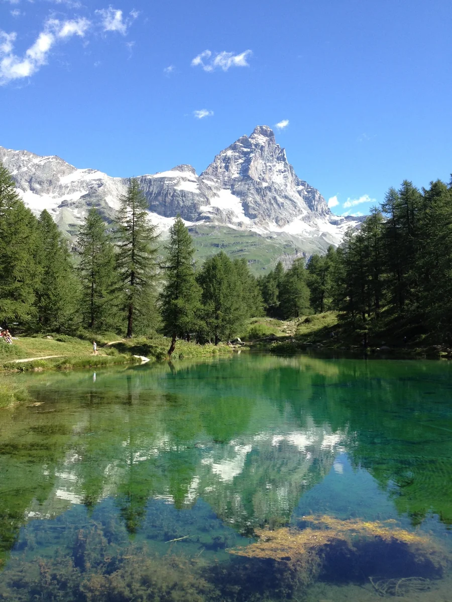 投稿写真：チェルビーノ