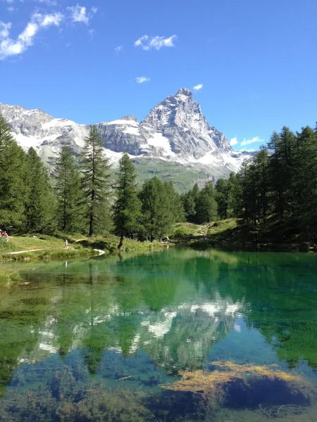 投稿：チェルビーノ