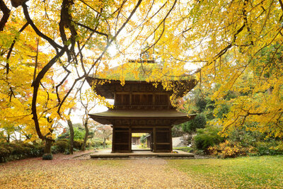  | 絶景事典
