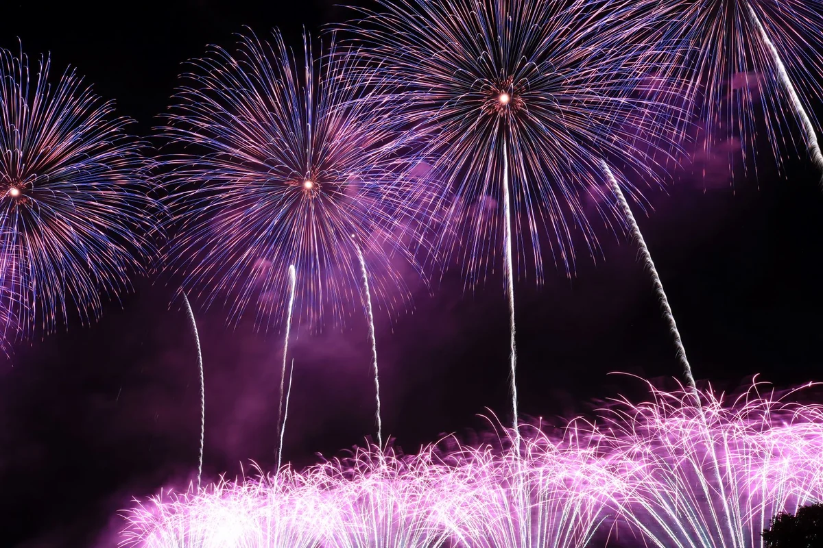 投稿写真：夏の風物詩 その3