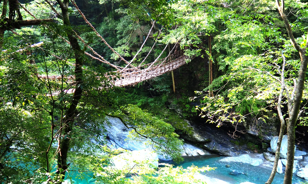 投稿写真：つり橋わたれ（祖谷かずら橋）