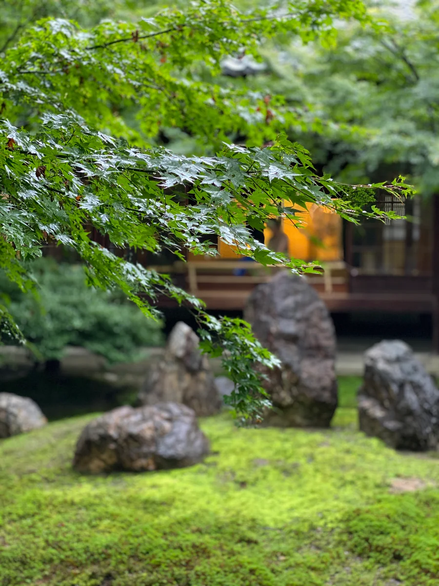 投稿写真：雨の日の建仁寺