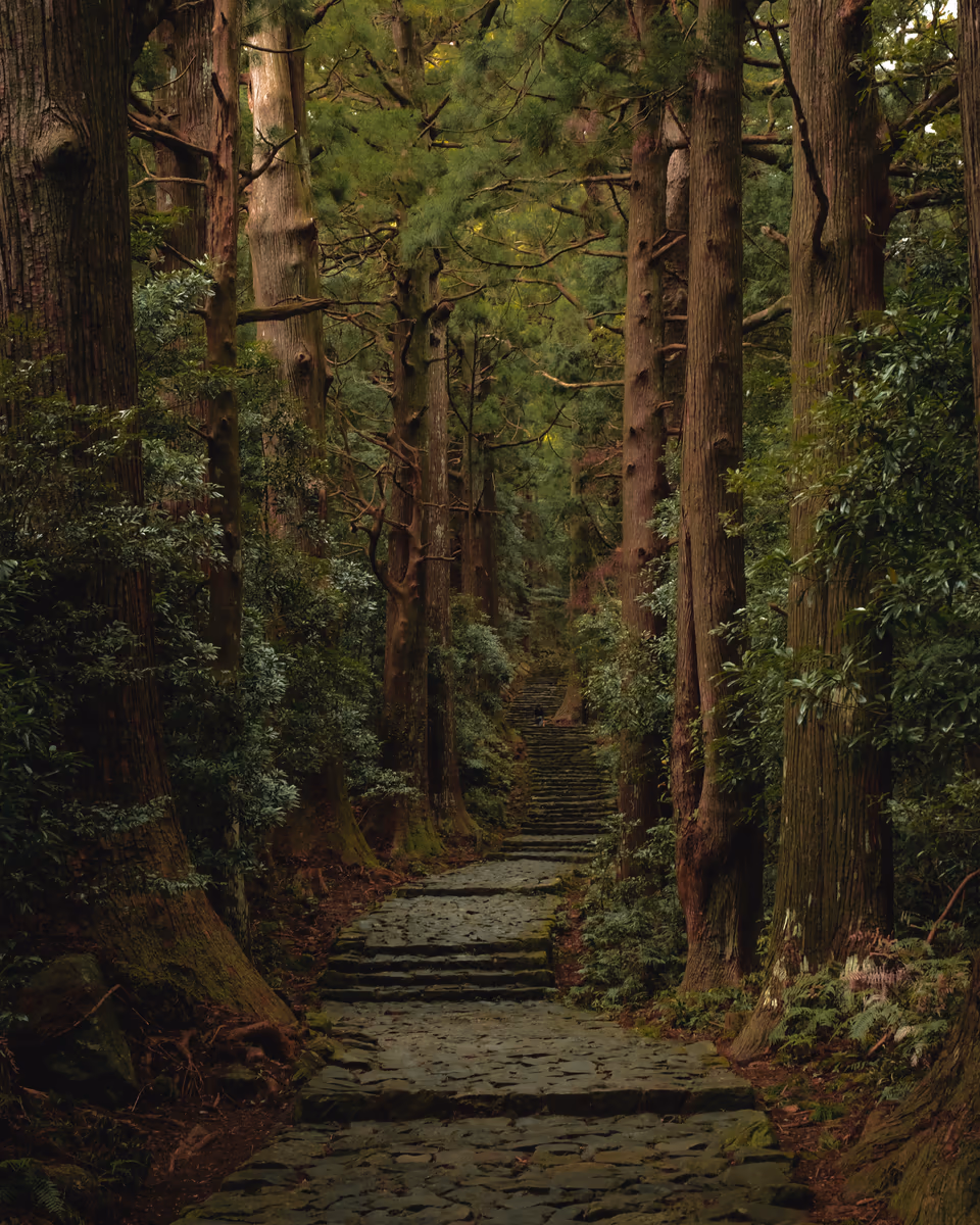 投稿写真：大門坂 - 和歌山