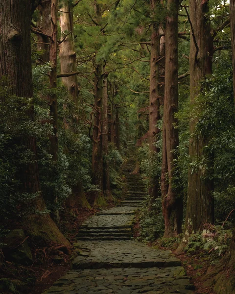 投稿：大門坂 - 和歌山