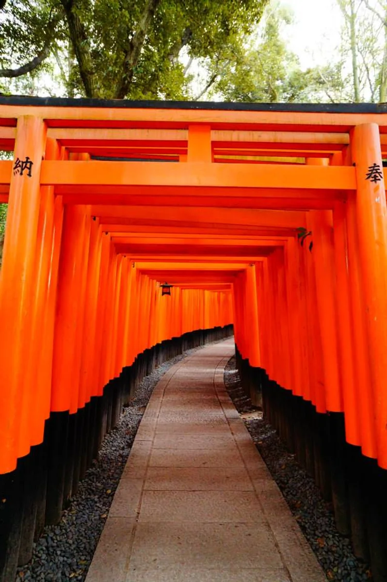 投稿写真：京都伏見稲荷