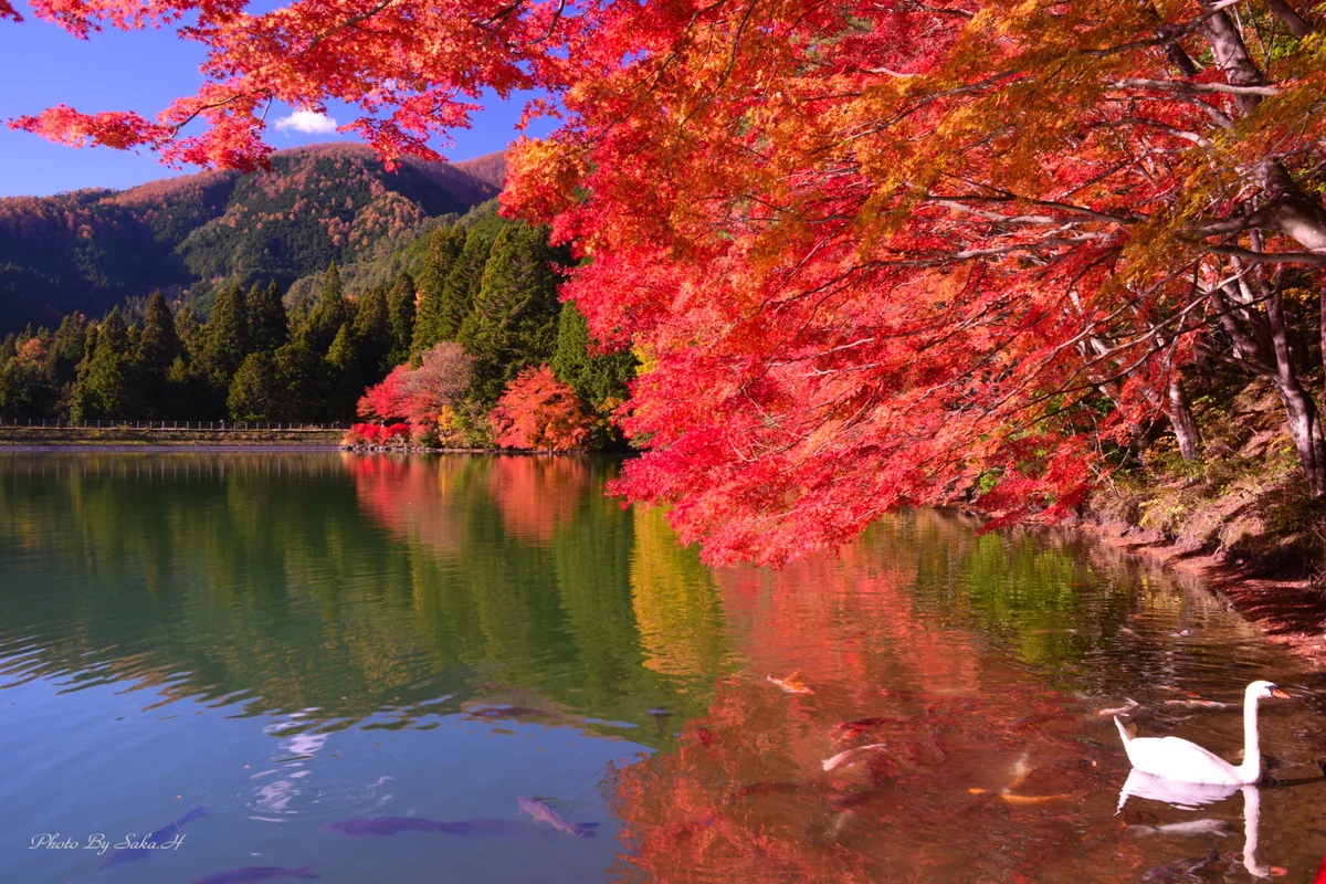 投稿写真：リフレクション