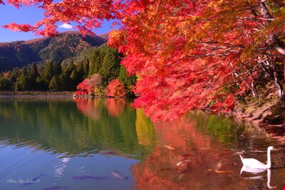  | 絶景事典