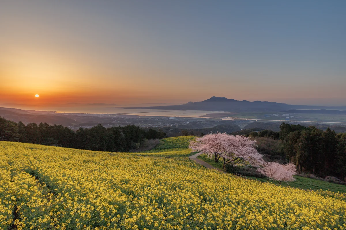 投稿写真：高原の夜明け