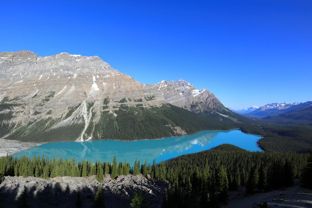 投稿写真：カナディアンロッキー・ペイトー湖