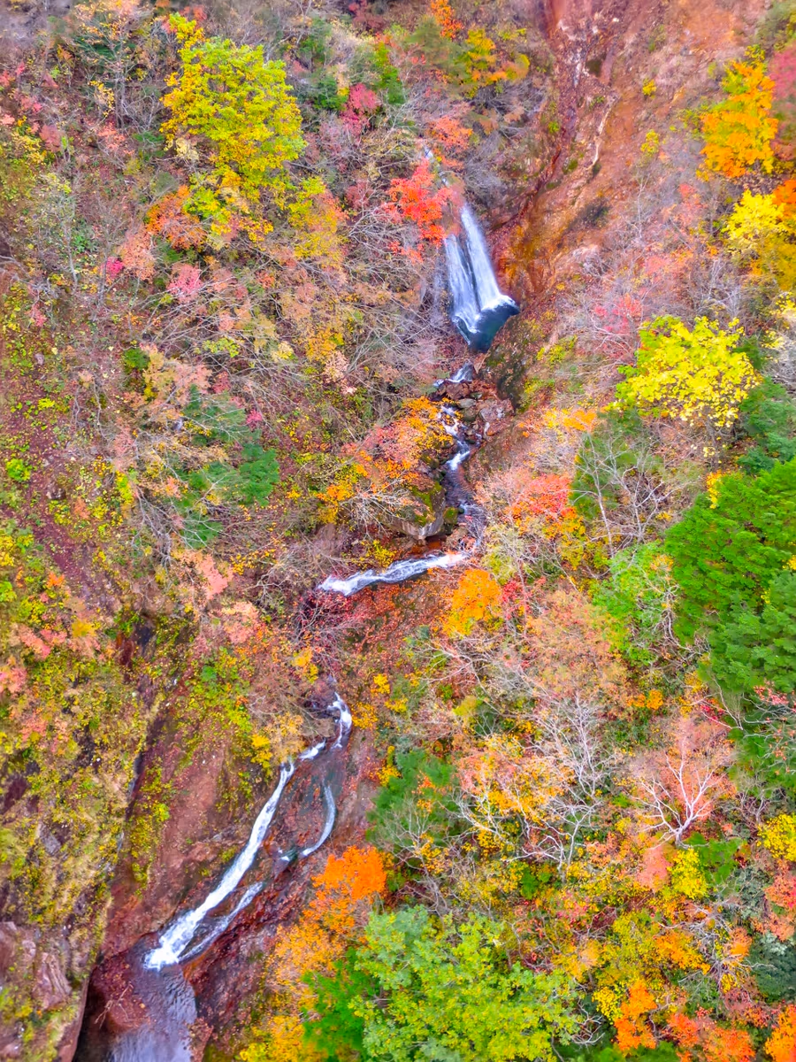 投稿写真：つばくろ谷の渓流と紅葉