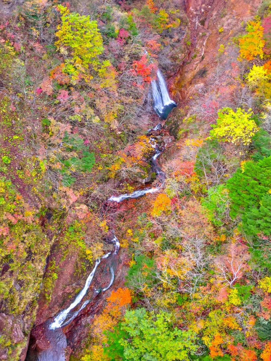 投稿写真：つばくろ谷の渓流と紅葉