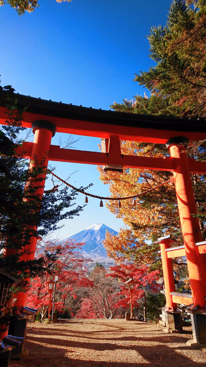 投稿写真：鳥居から望む富士山