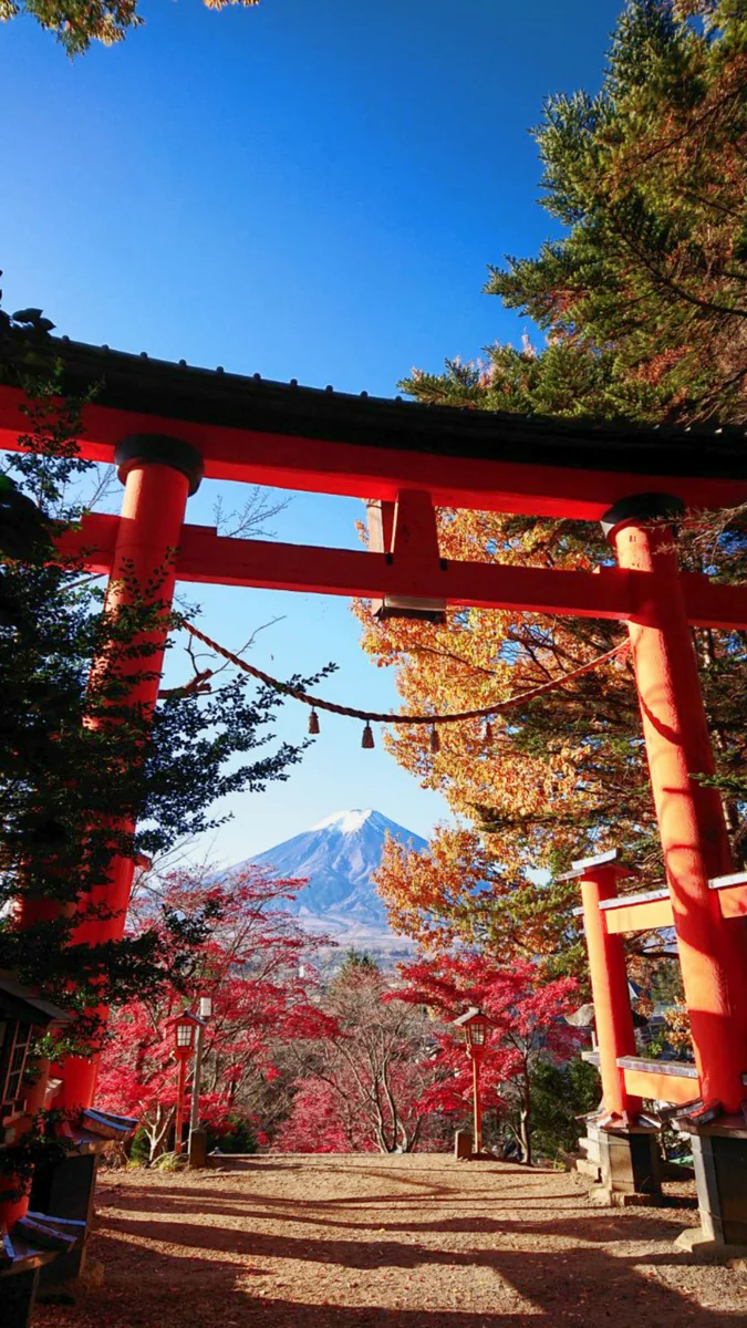 投稿写真：鳥居から望む富士山