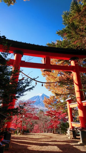投稿：鳥居から望む富士山