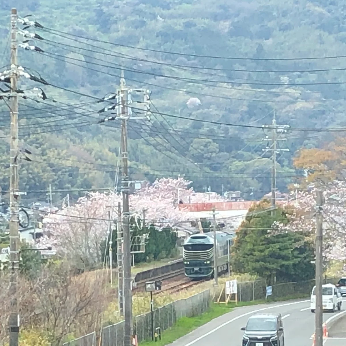 投稿写真：トワイライトエクスプレス瑞風と満開の桜