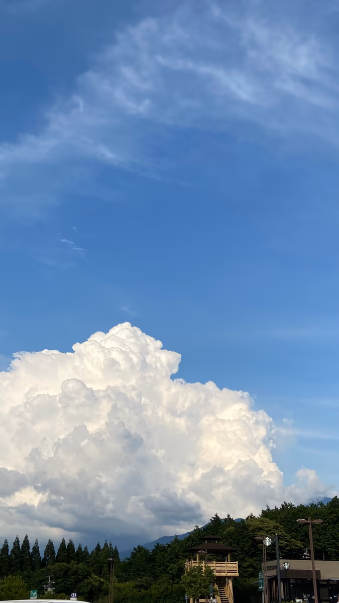 投稿写真：向夏