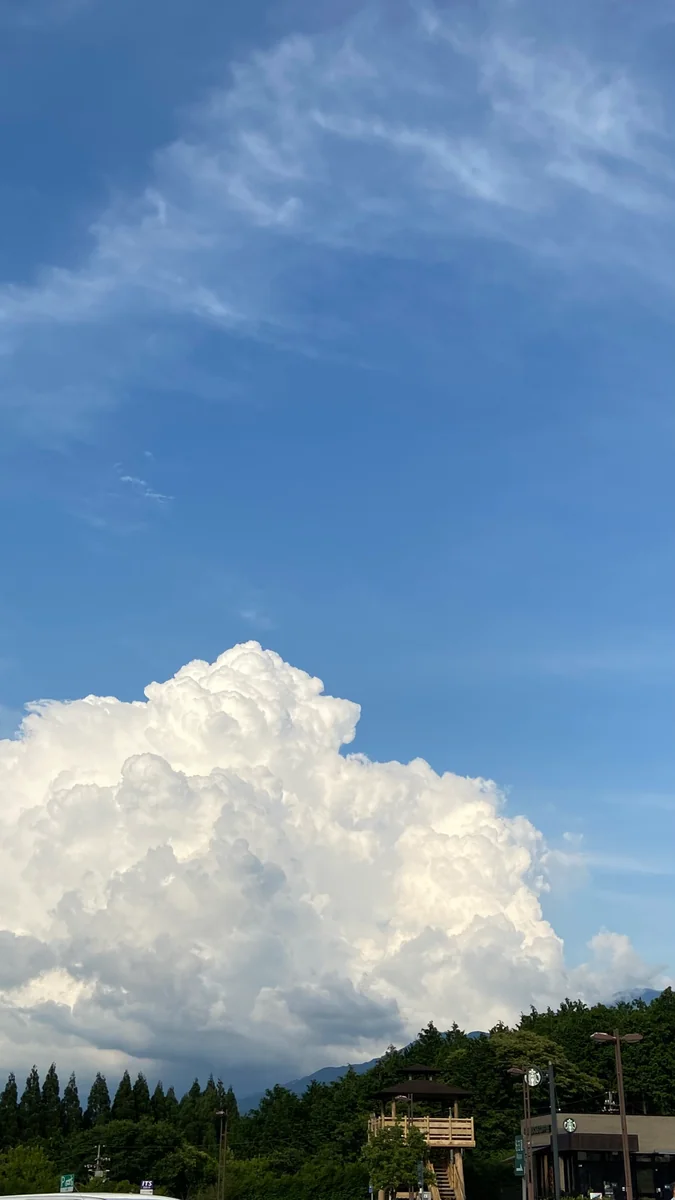 投稿写真：向夏