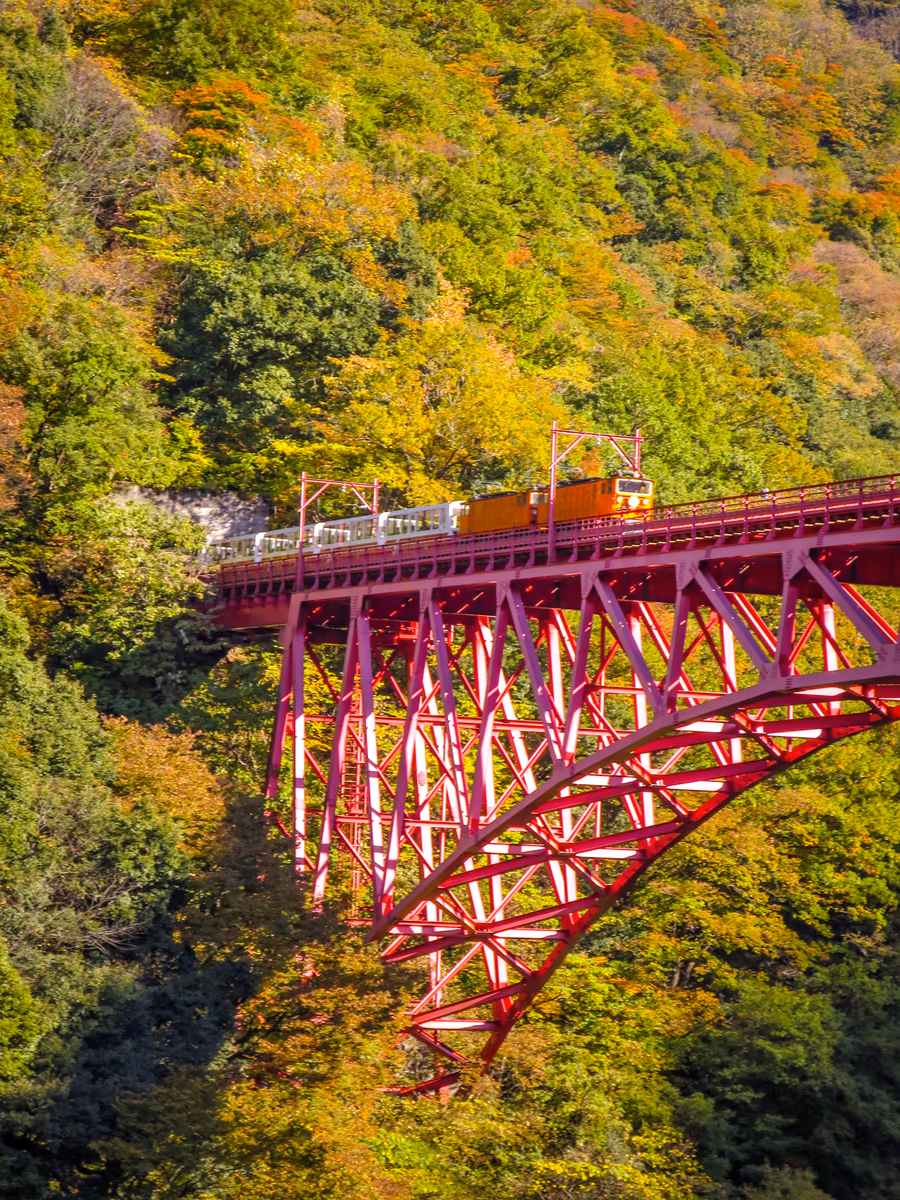 投稿写真：錦繍の黒部峡谷を渡るトロッコ列車