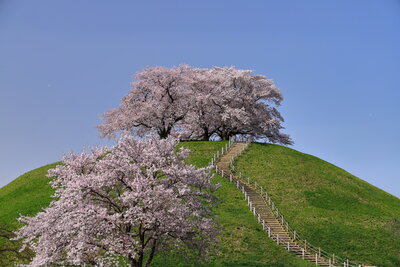  | 絶景事典