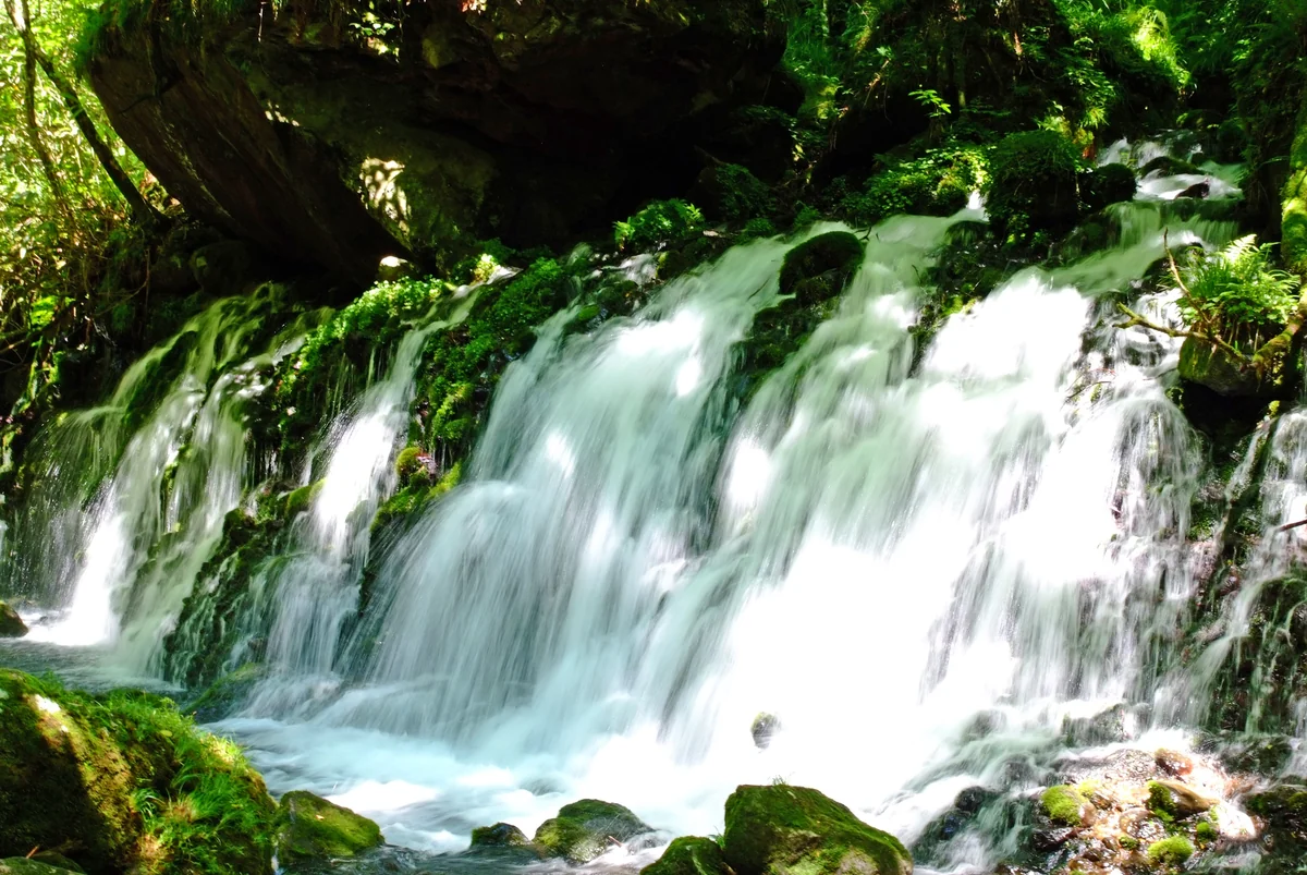 おいどん謙ちゃんさんの投稿写真
