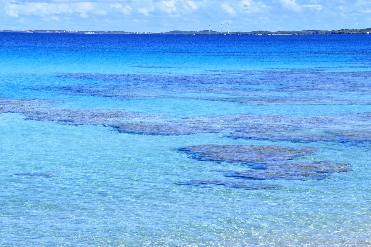 投稿写真：コバルトブルー