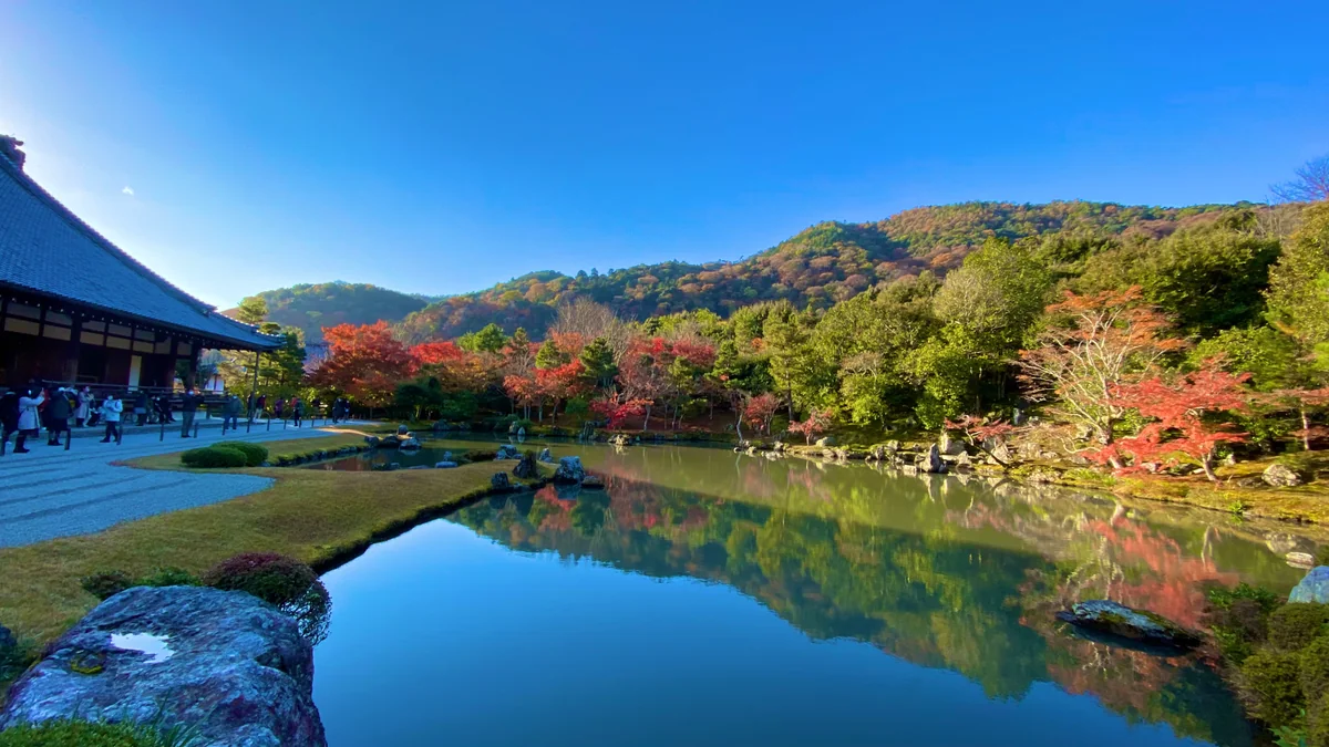 投稿写真：世界遺産 天龍寺 曹源池庭園 (再訪)