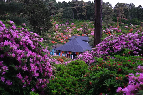 投稿：花包みの院