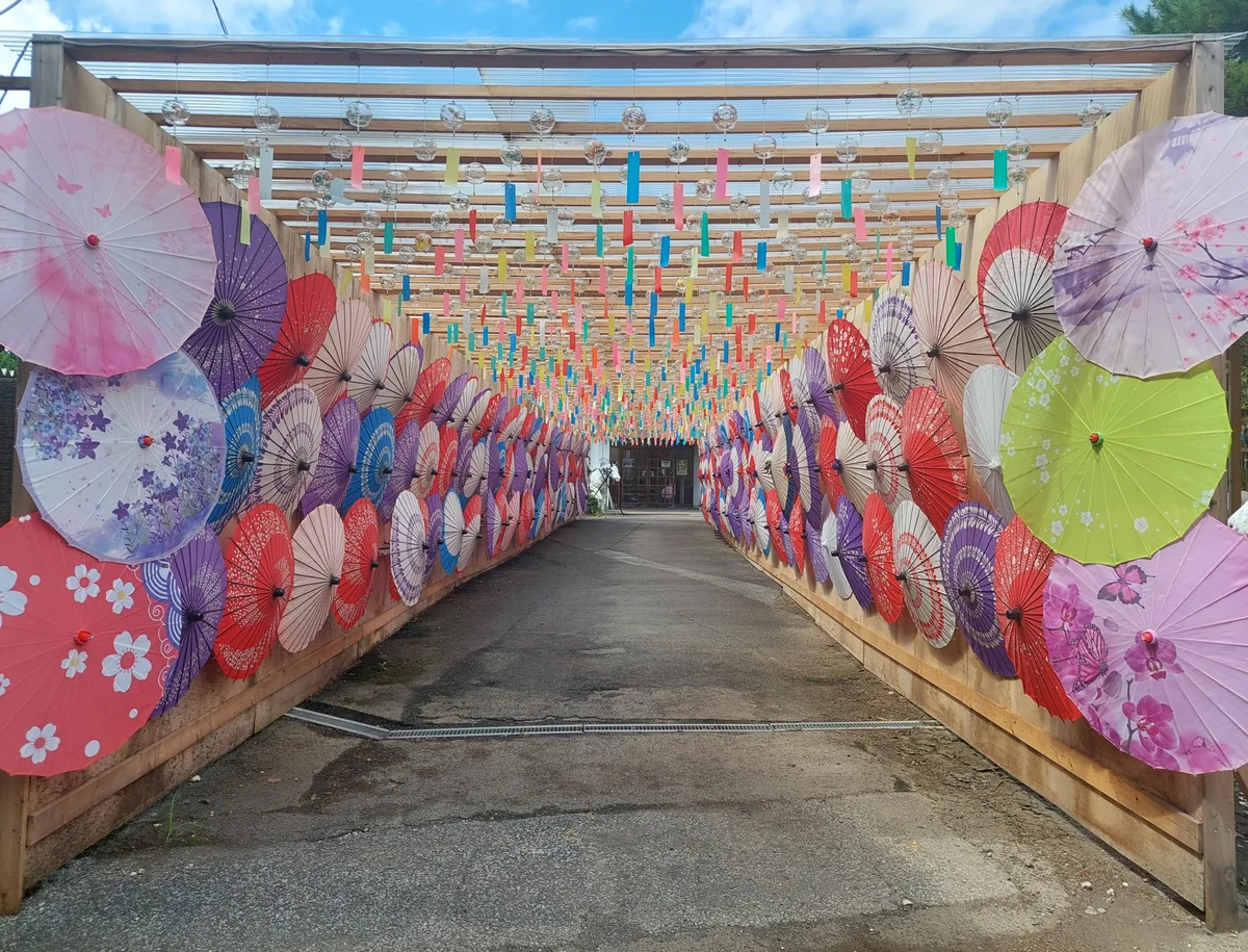 投稿写真：風鈴と和傘