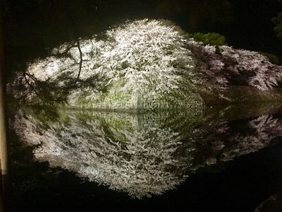  | 絶景事典