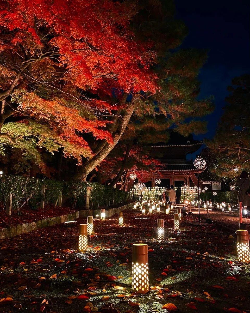 投稿写真：そうだ、京都行こう 〜 ひかりの京都 〜 建仁寺三門