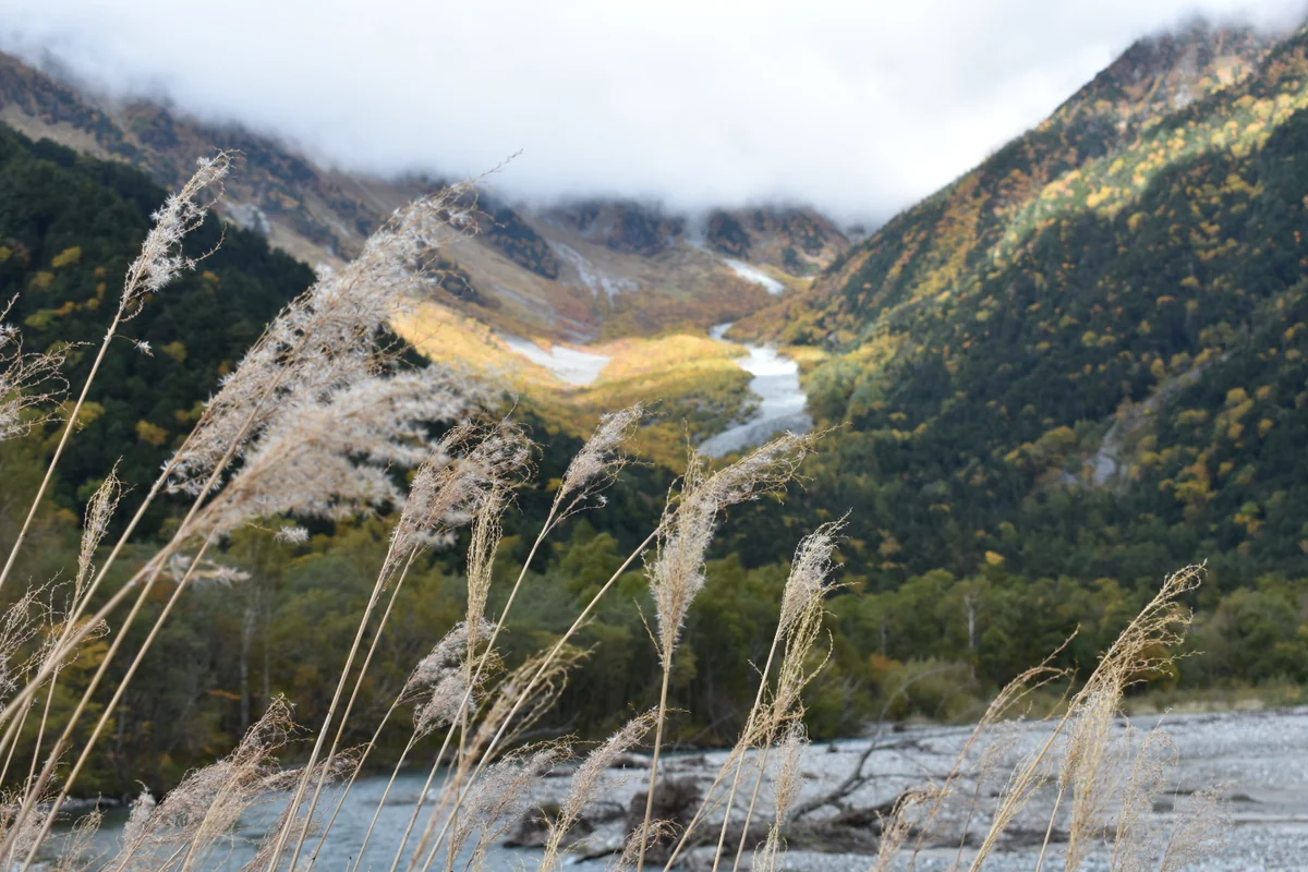 投稿写真：上高地