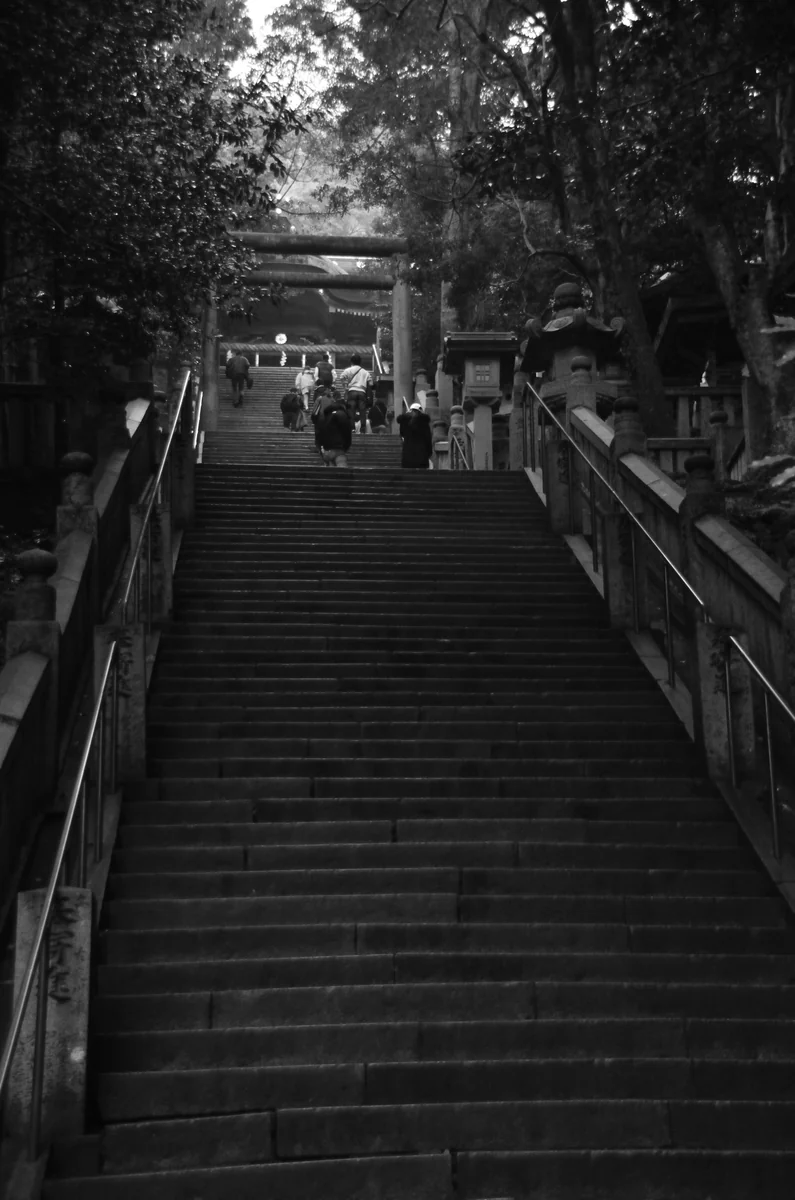 投稿写真：金刀比羅宮　最後の石段