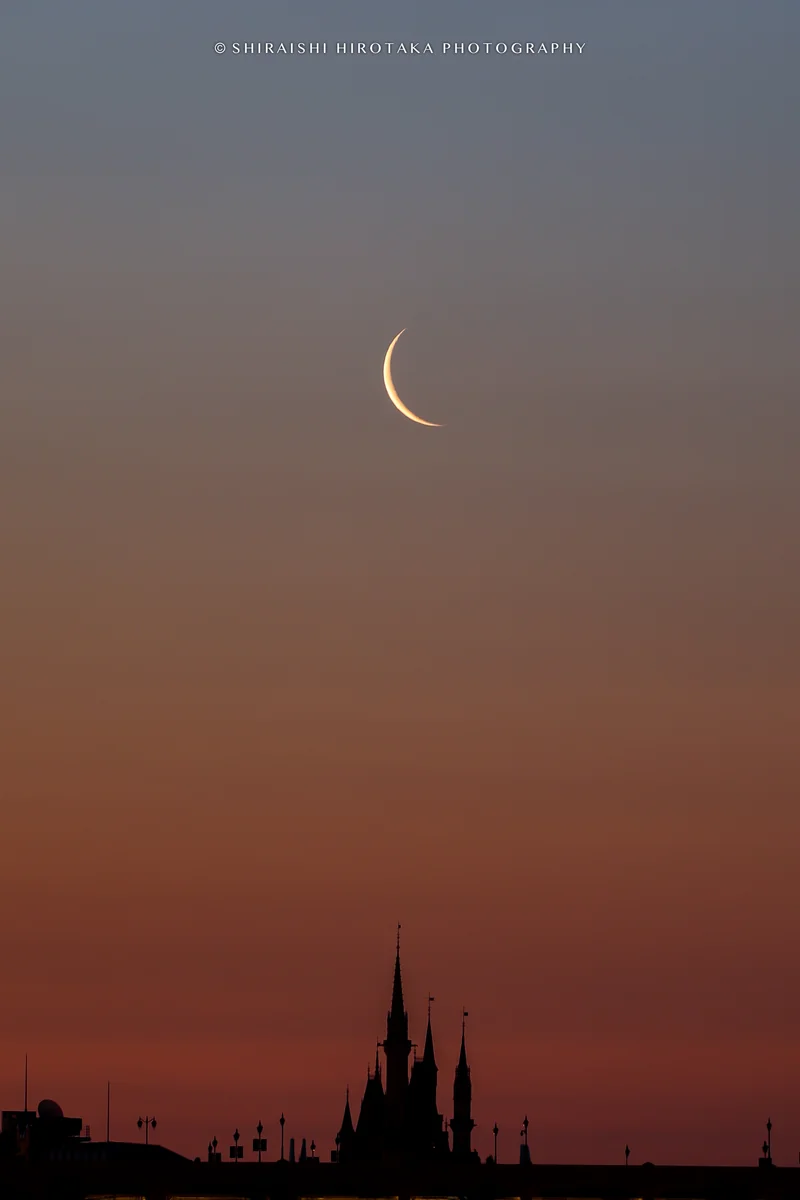 投稿写真：Cinderella Moon