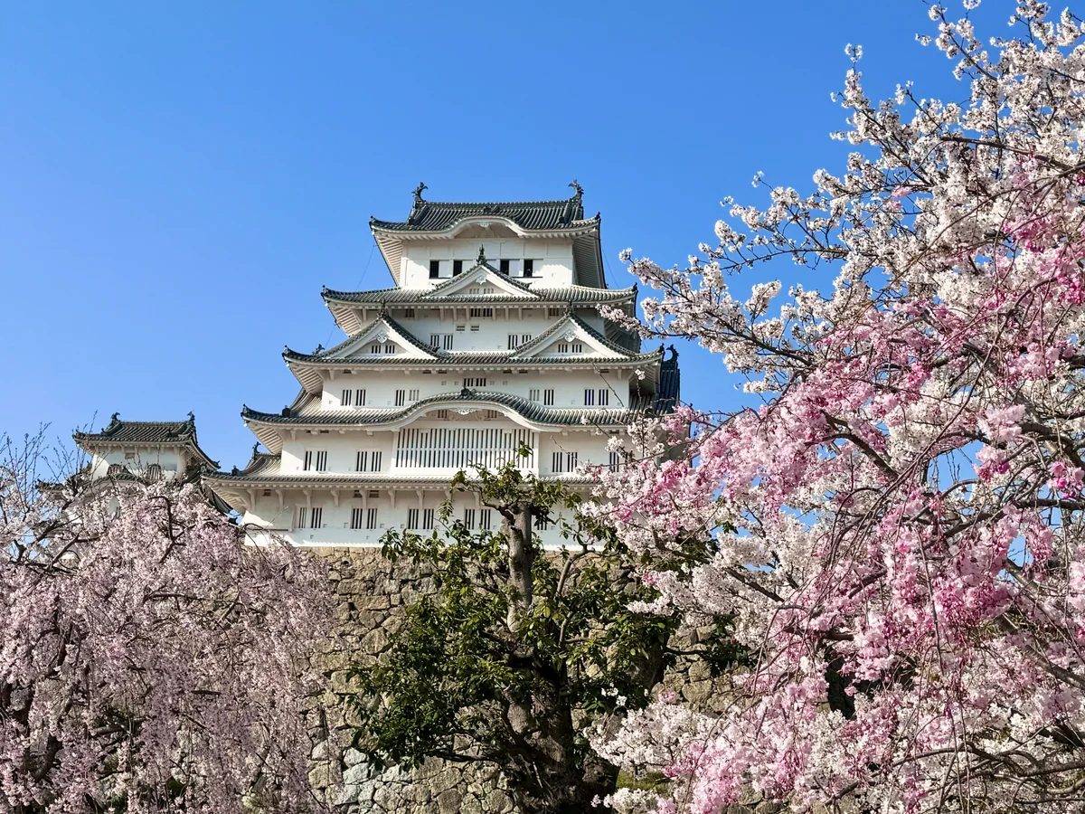 K Satine Jpさんの投稿写真