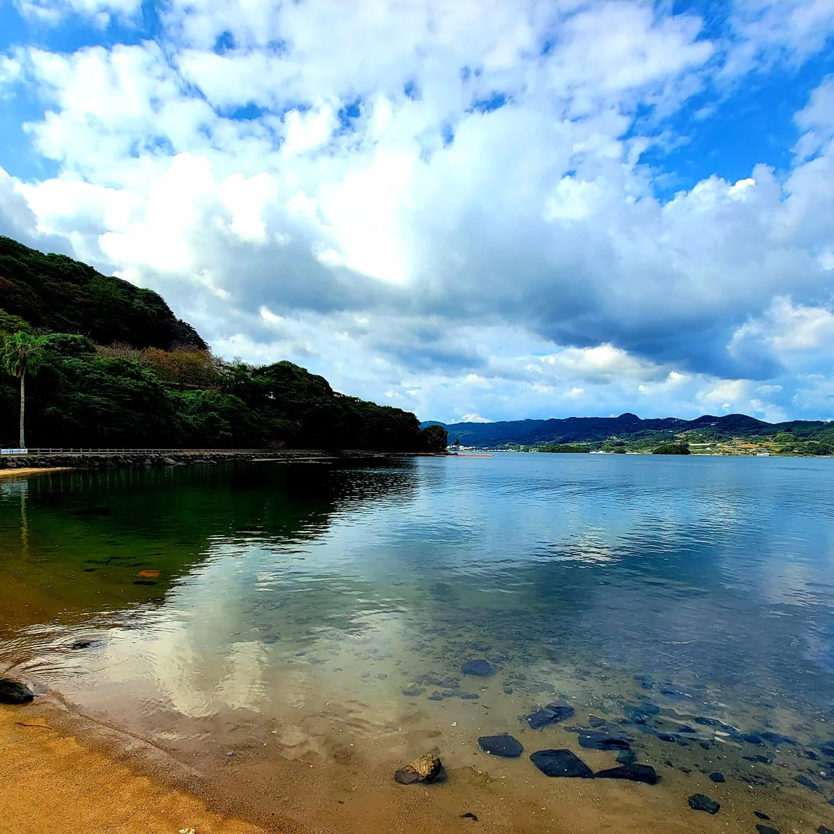 投稿写真：超透明～