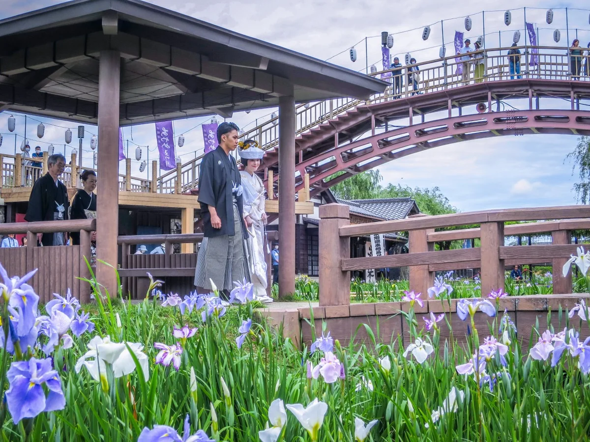 投稿写真：潮来花嫁さん~あやめ園