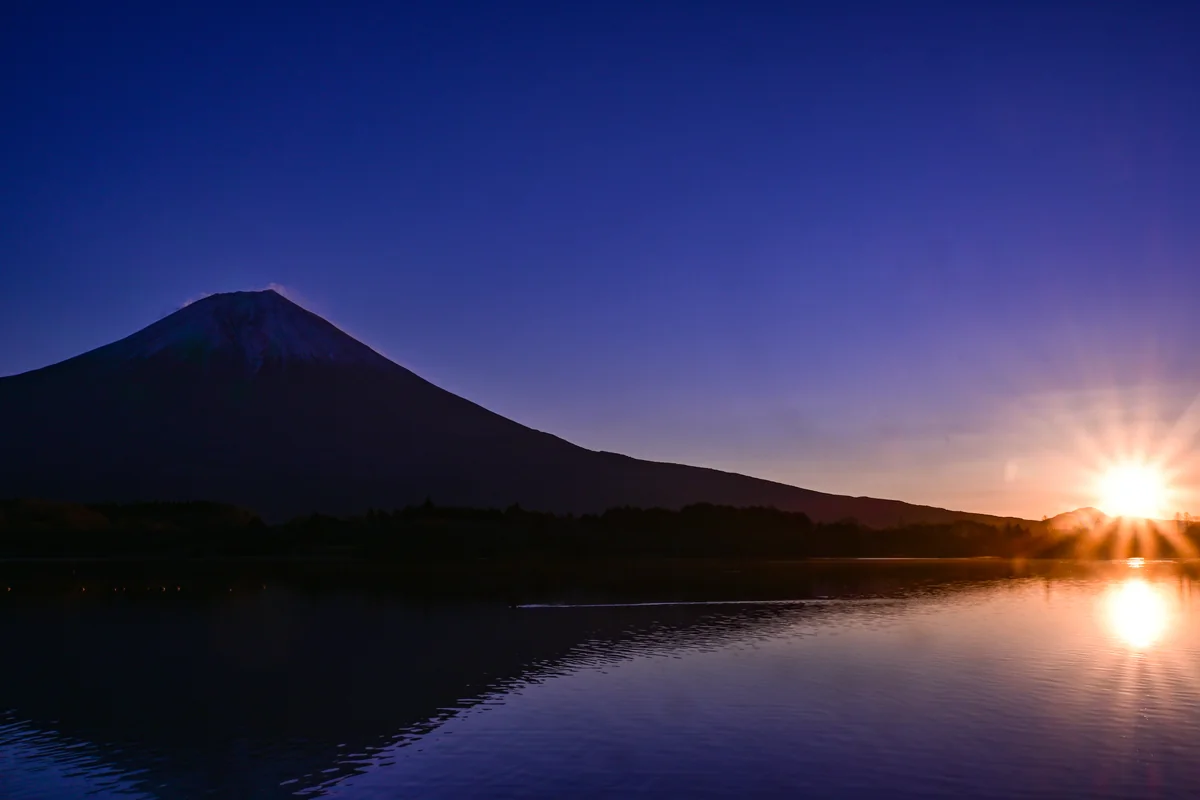 投稿写真：２０２１年が良い年になりますように