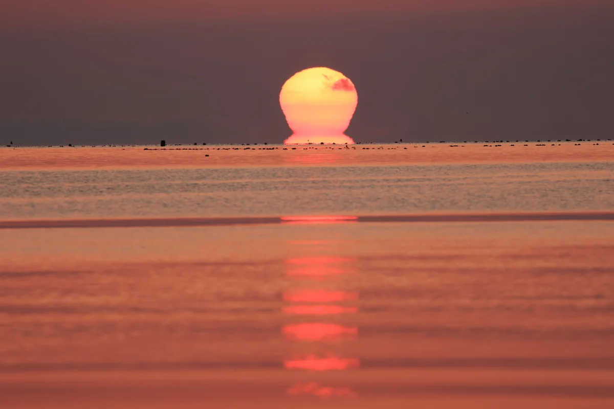 投稿写真：しあわせを呼ぶだるま朝日