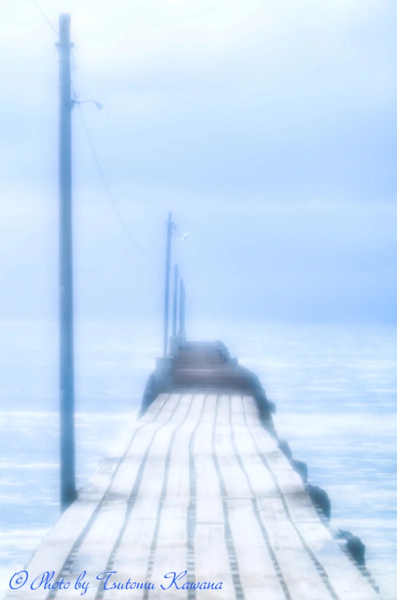 投稿写真：千葉南房総・心和ませる桟橋の情景