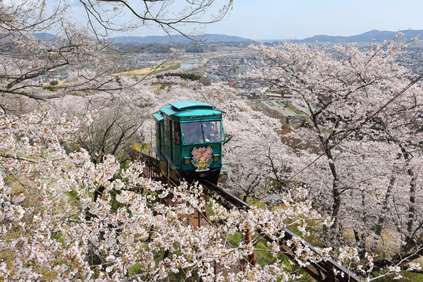 投稿：日本桜百景