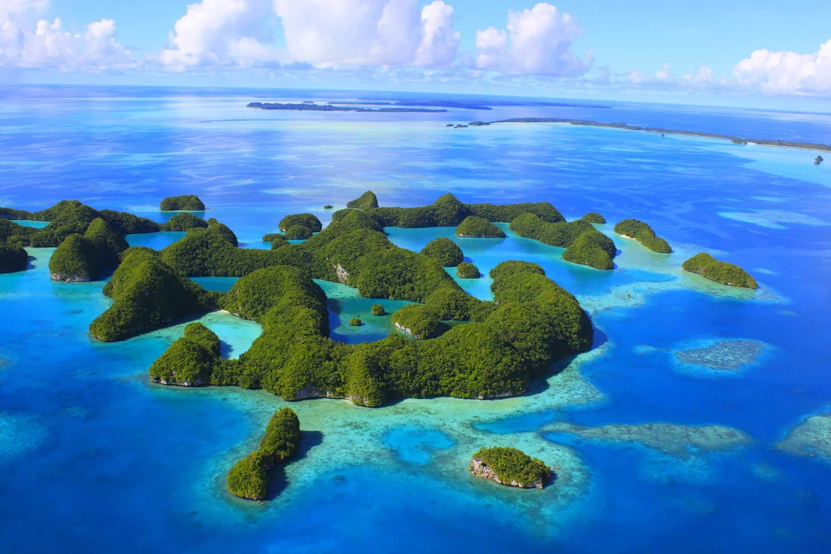 おくちゃんさんの投稿写真