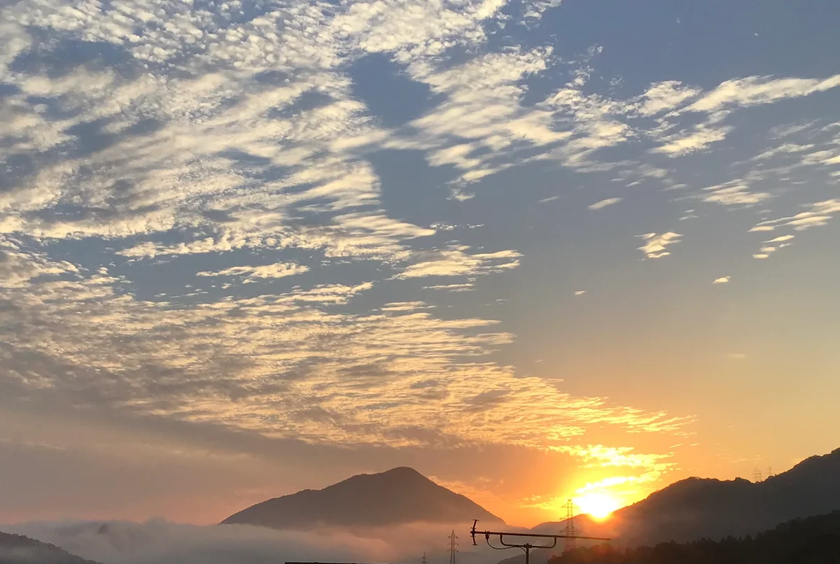 投稿写真：幻想的