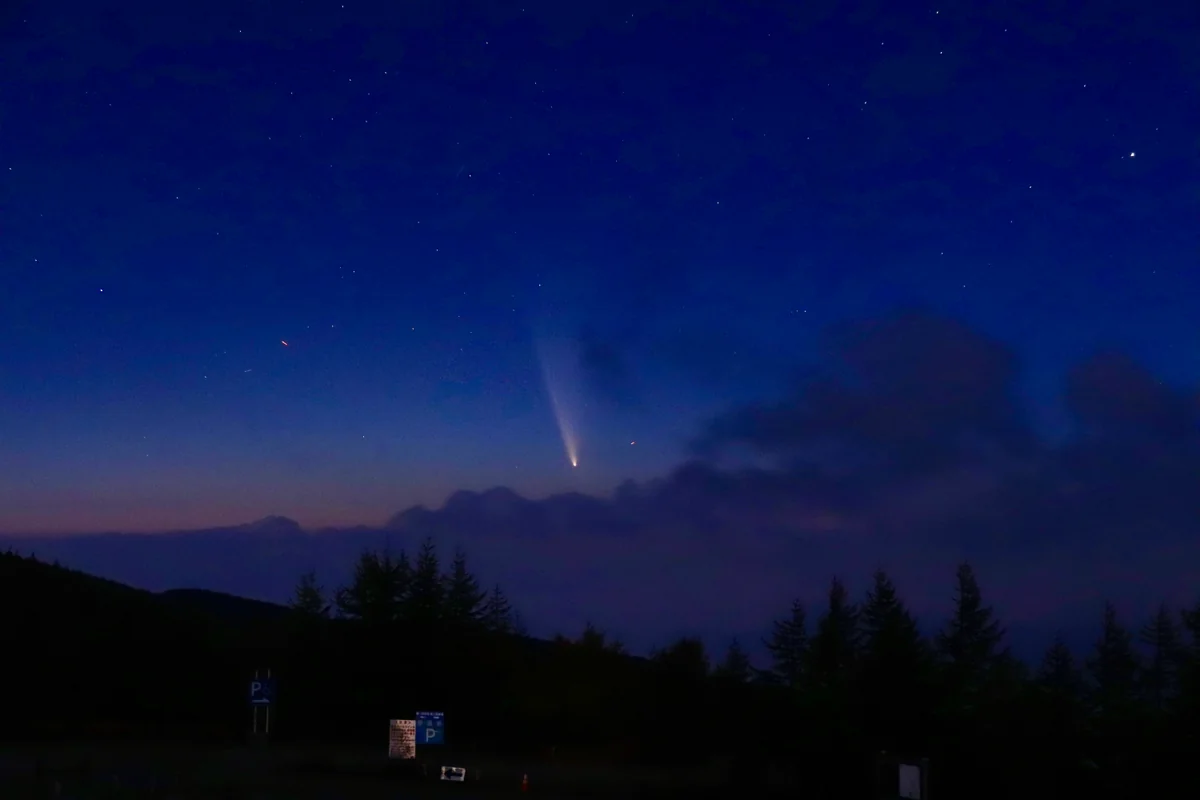 投稿写真：紫金山・アトラス彗星