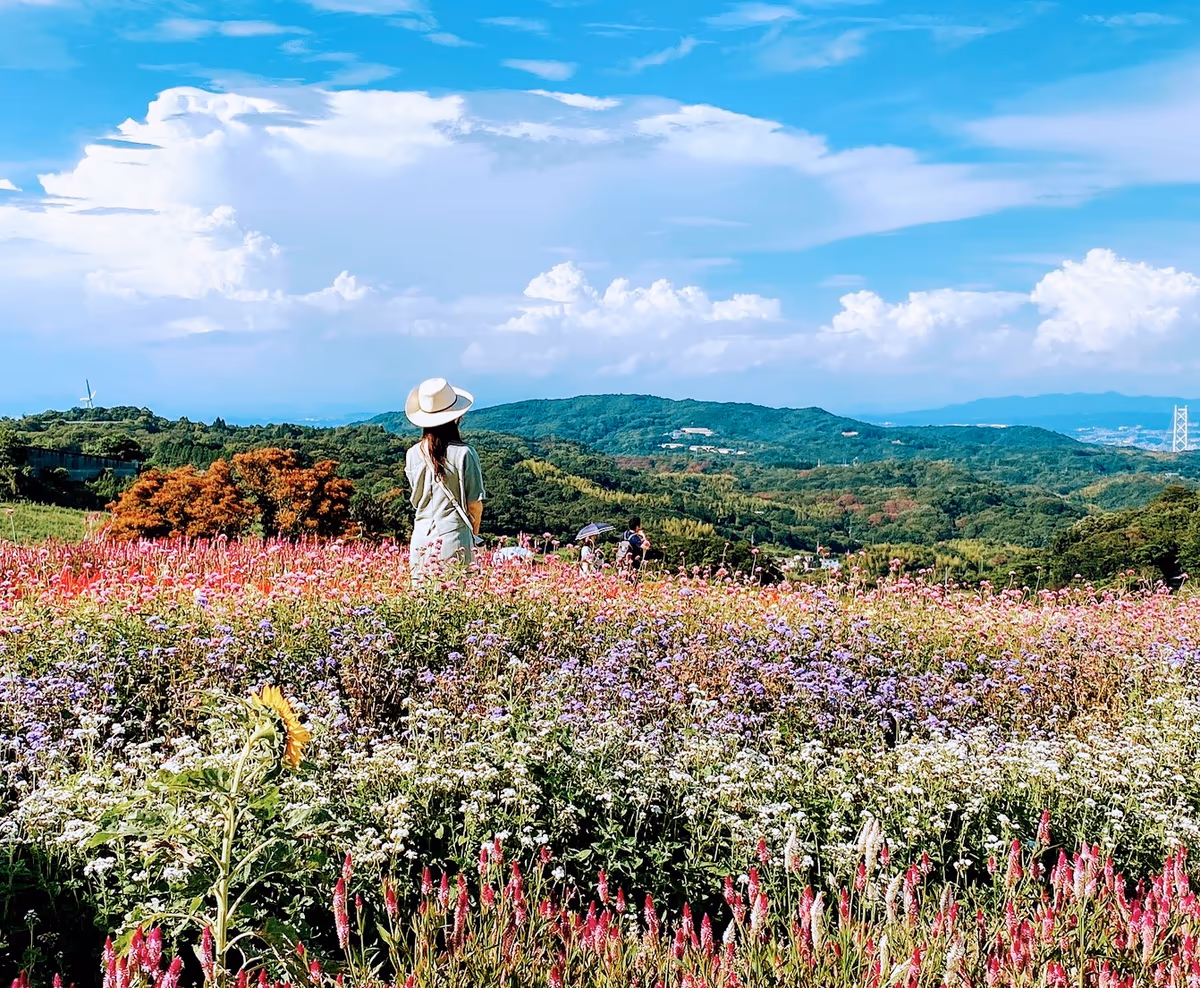 投稿写真：淡路島花さじき