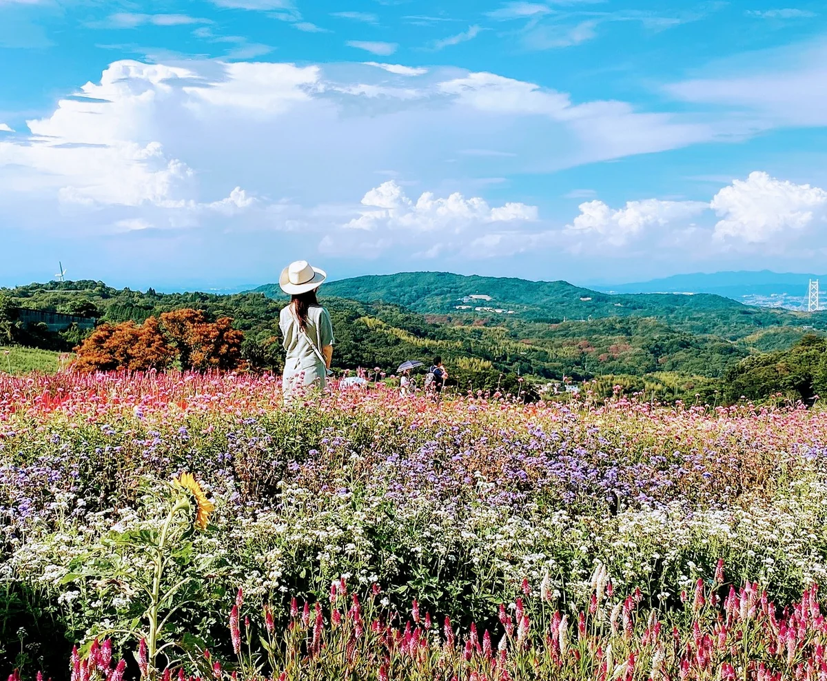 投稿写真：淡路島花さじき