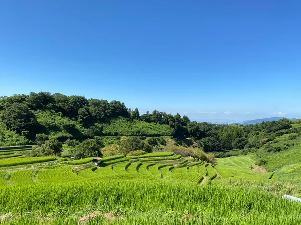 投稿：下赤坂の棚田