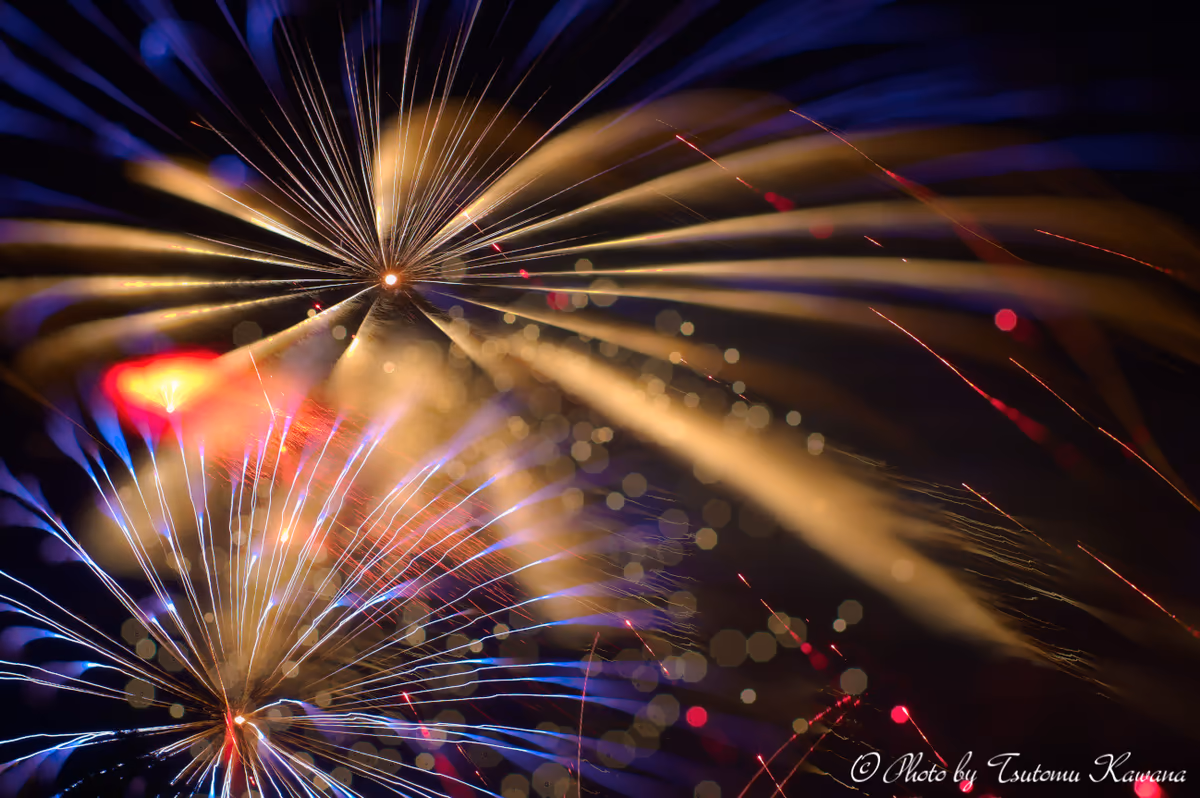 投稿写真：hanabi ・光の妖精が舞う。